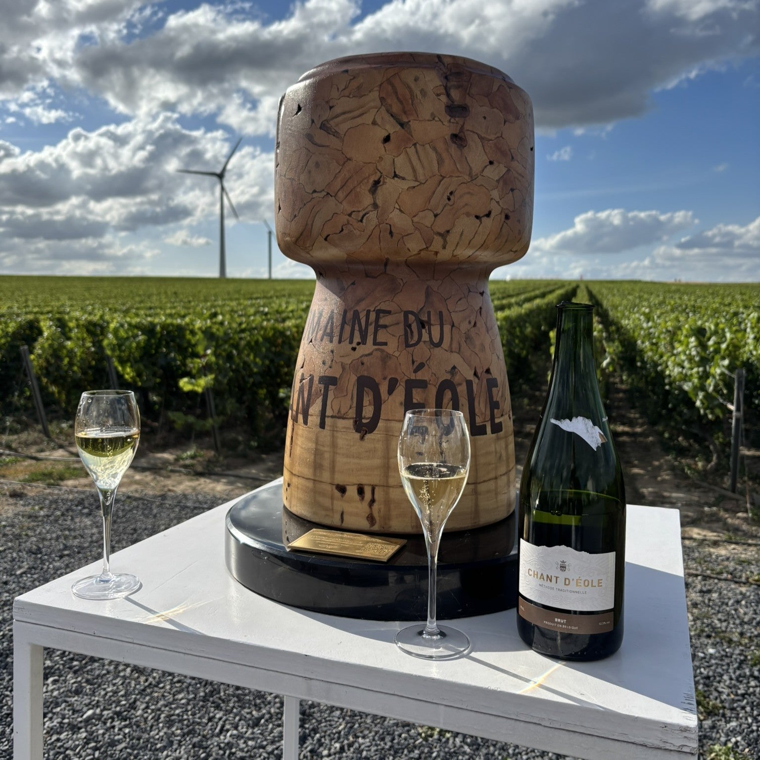 Le Bouchon de Champagne XXL